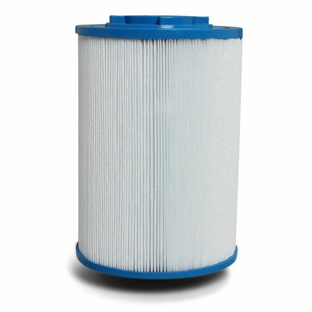 Leisurerite C100 top filter Leisurerite C100 top filter